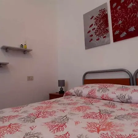 Grazioso Bilocale Con Vista Su Parco Comunale A Due Passi Dal Centro Apartment *