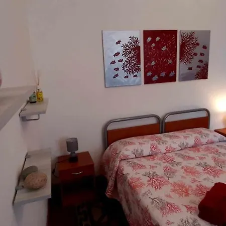 Grazioso Bilocale Con Vista Su Parco Comunale A Due Passi Dal Centro Apartment *